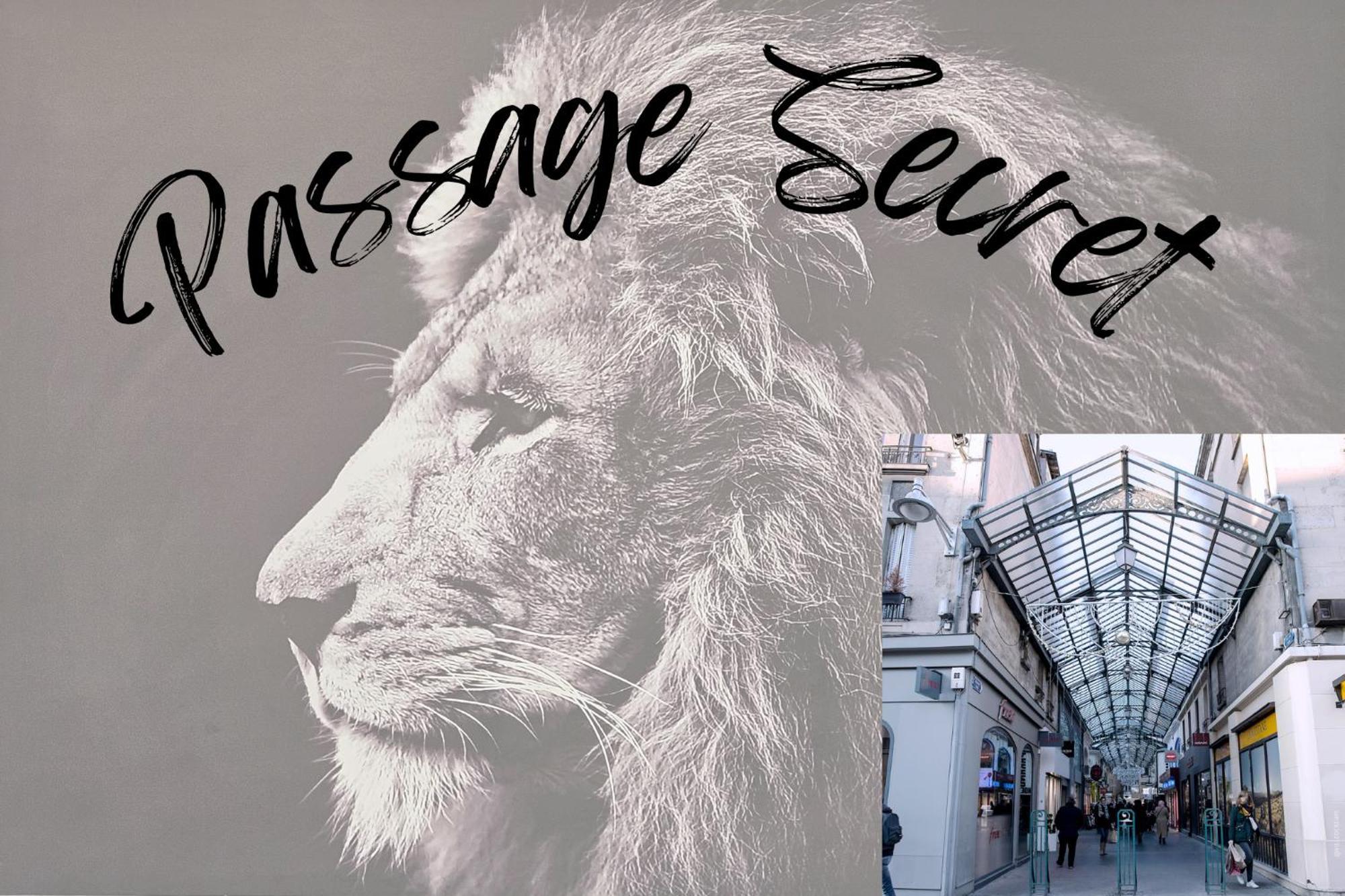 Passage Secret - Ideal Pro, Couples, Familles & Amis - Le Calme En Hypercentre - Wifi Haut Debit - Netflix - Machine A Laver - Gare, Cathedrale, Commerces, Restaurants & Transports En Commun A Moins De 10 Minutes A Pied 兰斯 外观 照片