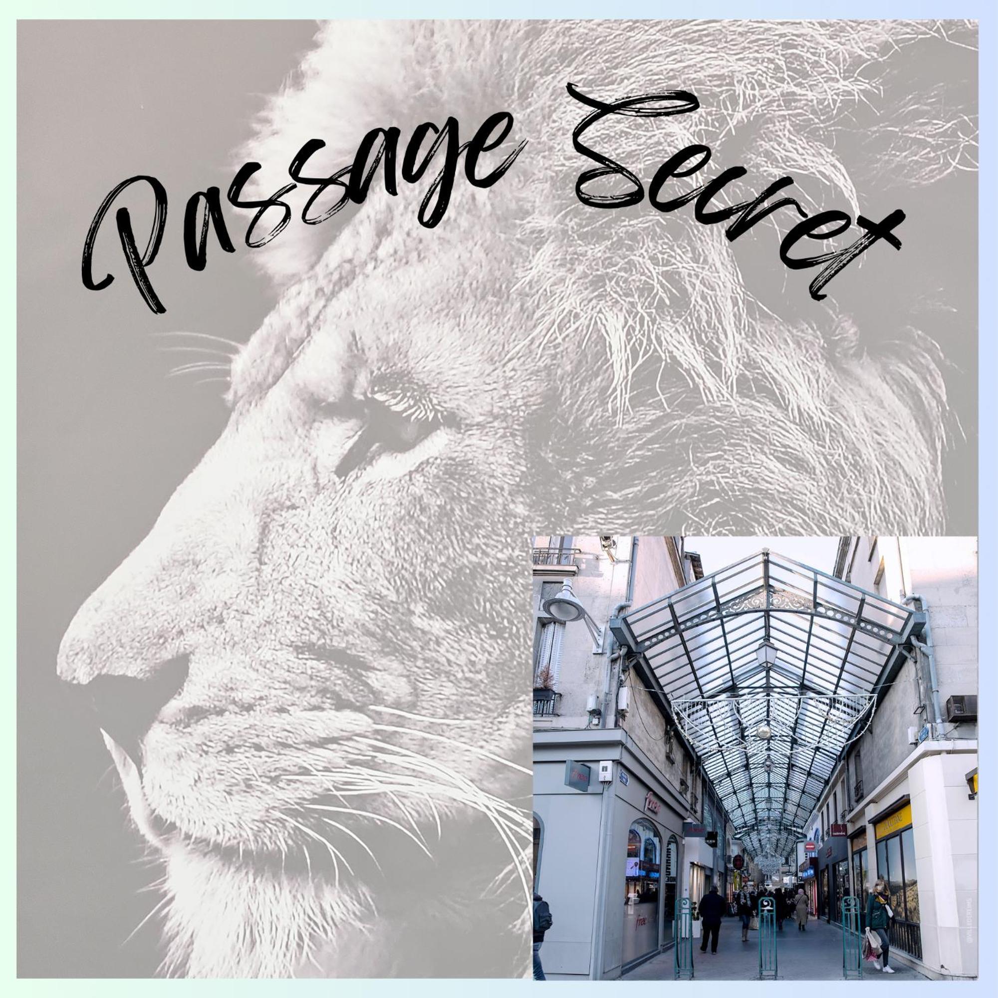 Passage Secret - Ideal Pro, Couples, Familles & Amis - Le Calme En Hypercentre - Wifi Haut Debit - Netflix - Machine A Laver - Gare, Cathedrale, Commerces, Restaurants & Transports En Commun A Moins De 10 Minutes A Pied 兰斯 外观 照片