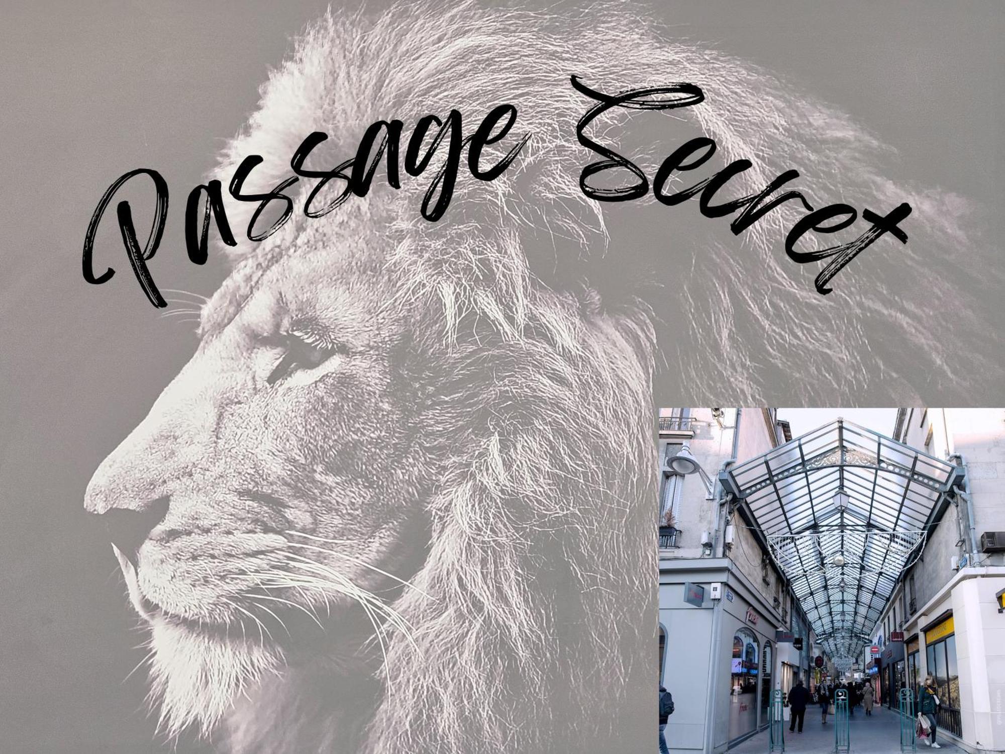 Passage Secret - Ideal Pro, Couples, Familles & Amis - Le Calme En Hypercentre - Wifi Haut Debit - Netflix - Machine A Laver - Gare, Cathedrale, Commerces, Restaurants & Transports En Commun A Moins De 10 Minutes A Pied 兰斯 外观 照片